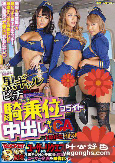 RCT-803 ԭ,HIKARI,