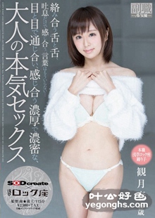 SDSI-028 